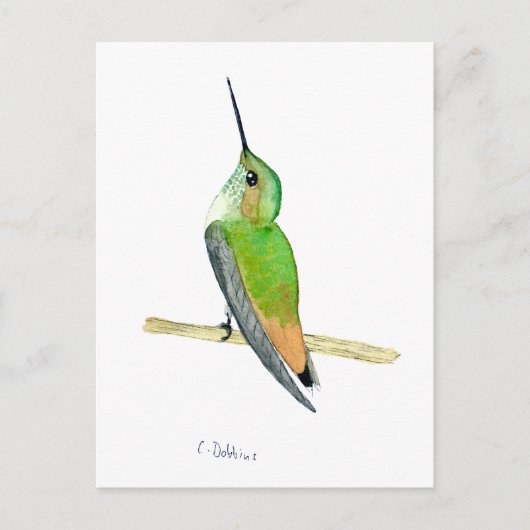 Carte Postale Colibri d'Allen (Devant)