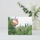 Carte Postale Colibri d'Anna (Debout devant)