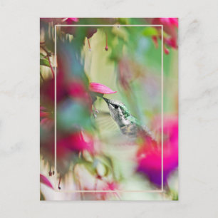 Carte Postale Colibri dans Soft Fuchsia Vertical.