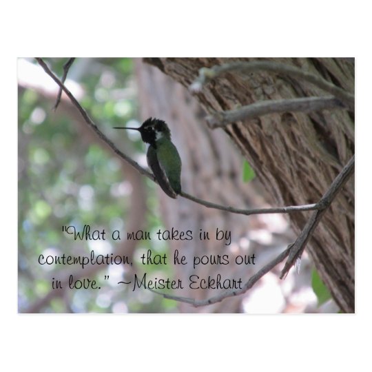 Carte Postale Colibri De Citation De Contemplation De Meister Zazzle Be