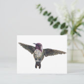 Carte Postale Colibri de Costa (Debout devant)