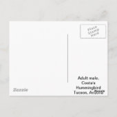 Carte Postale Colibri de Costa (Dos)