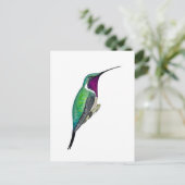 Carte Postale Colibri de Lucifer (Debout devant)