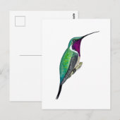 Carte Postale Colibri de Lucifer (Devant / Derrière)