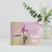 Carte Postale Colibri Élégant Posant pour Dire Merci (Debout devant)