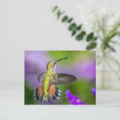 Carte Postale Colibri en fleurs violettes (Debout devant)