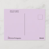 Carte Postale Colibri en fleurs violettes (Dos)