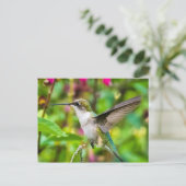 Carte Postale Colibri en vol (Debout devant)