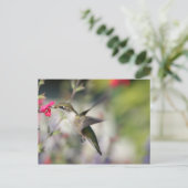 Carte Postale Colibri en vol (Debout devant)