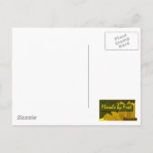 Carte Postale Colibri en vol (Dos)