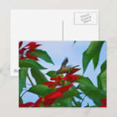 Carte Postale Colibri en vol (Devant / Derrière)