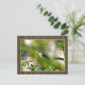 Carte Postale Colibri encadré (Debout devant)