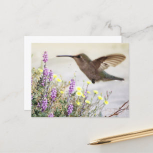 Carte Postale Colibri et Art numérique Fleur sauvage