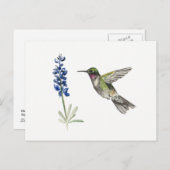 Carte Postale Colibri et Bluebonnet (Devant / Derrière)