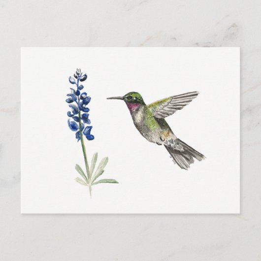Carte Postale Colibri et Bluebonnet (Devant)