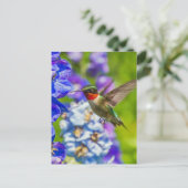 Carte Postale Colibri Et Delphinium (Debout devant)