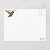 Carte Postale Colibri Et Delphinium (Dos)