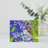 Carte Postale Colibri Et Delphinium (Debout devant)