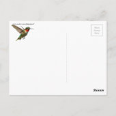 Carte Postale Colibri Et Delphinium (Dos)