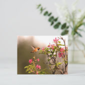 Carte Postale Colibri et fleurs (Debout devant)