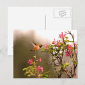 Carte Postale Colibri et fleurs (Devant / Derrière)