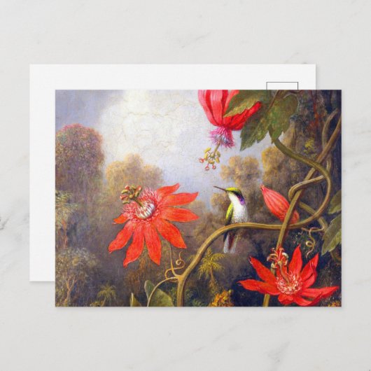 Carte Postale Colibri et Passiflora par Martin Johnson Heade (Devant / Derrière)