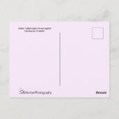 Carte Postale Colibri exotique à longue queue (Dos)