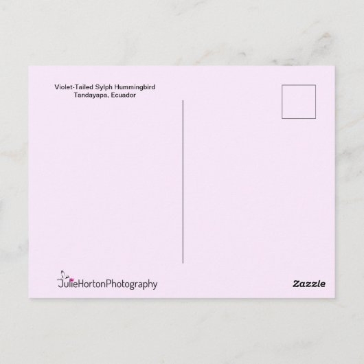 Carte Postale Colibri exotique à longue queue (Dos)