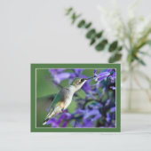 Carte Postale Colibri Hover (Debout devant)