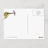 Carte Postale Colibri Hover (Dos)