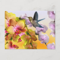 Colibri, Lilacs Violets, Orchidées Roses Jaunes