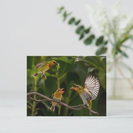 Carte Postale Colibri mère élégamment perché  (Debout devant)