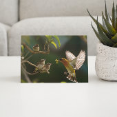 Carte Postale Colibri Mère nourriture en haut