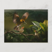 Carte Postale Colibri Mère oiseaux équilibre gracieusement (Devant)