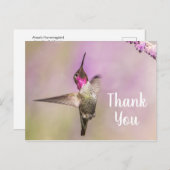 Carte Postale Colibri Mignon Posant pour Dire Merci (Devant / Derrière)
