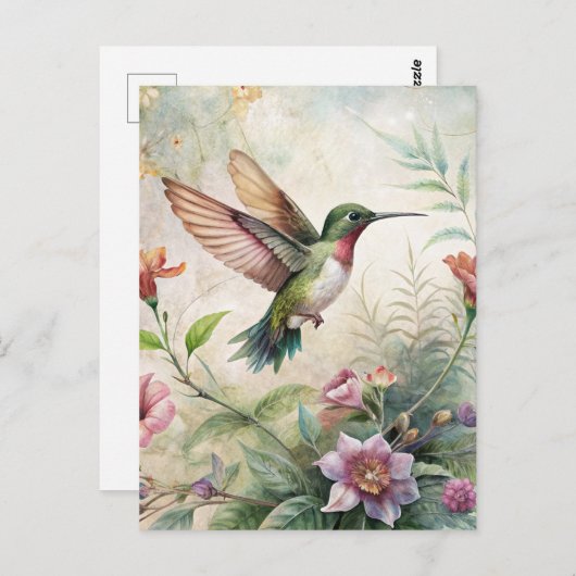 Carte Postale Colibri mignon sur les fleurs (Devant / Derrière)