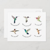 Carte Postale Colibri nord-américain (Devant / Derrière)