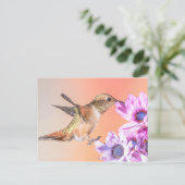 Carte Postale Colibri orange et fleurs violettes (Debout devant)