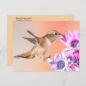 Carte Postale Colibri orange et fleurs violettes (Devant / Derrière)
