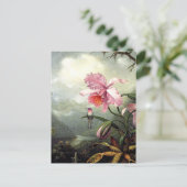 Carte Postale Colibri perché, art fin, (Debout devant)