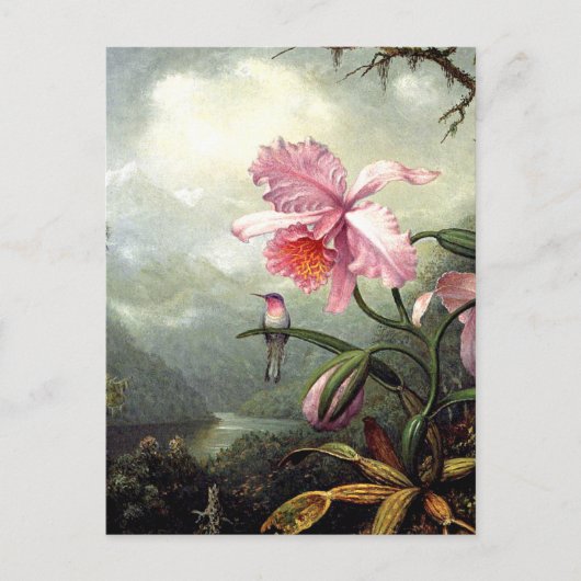 Carte Postale Colibri perché, art fin, (Devant)