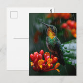 Carte Postale Colibri perché sur une fleur vive (Devant / Derrière)