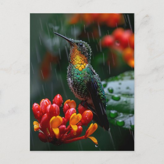 Carte Postale Colibri perché sur une fleur vive (Devant)