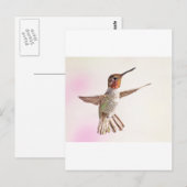 Carte Postale Colibri rose (Devant / Derrière)