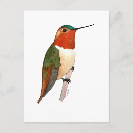 Carte Postale Colibri roux (Devant)