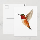 Carte Postale Colibri roux (Devant / Derrière)