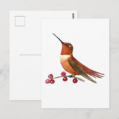 Carte Postale Colibri roux (Devant / Derrière)