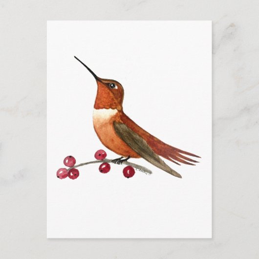 Carte Postale Colibri roux (Devant)
