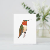 Carte Postale Colibri roux (Debout devant)