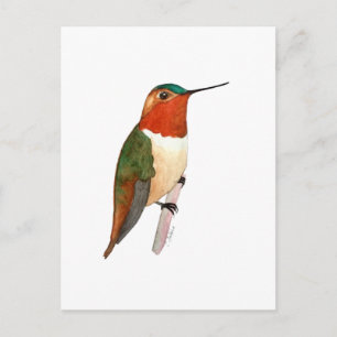 Carte Postale Colibri roux